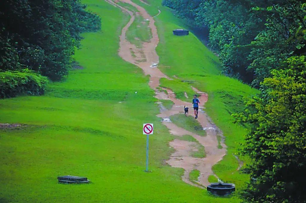 環球生態|越野跑,跑進新加坡的