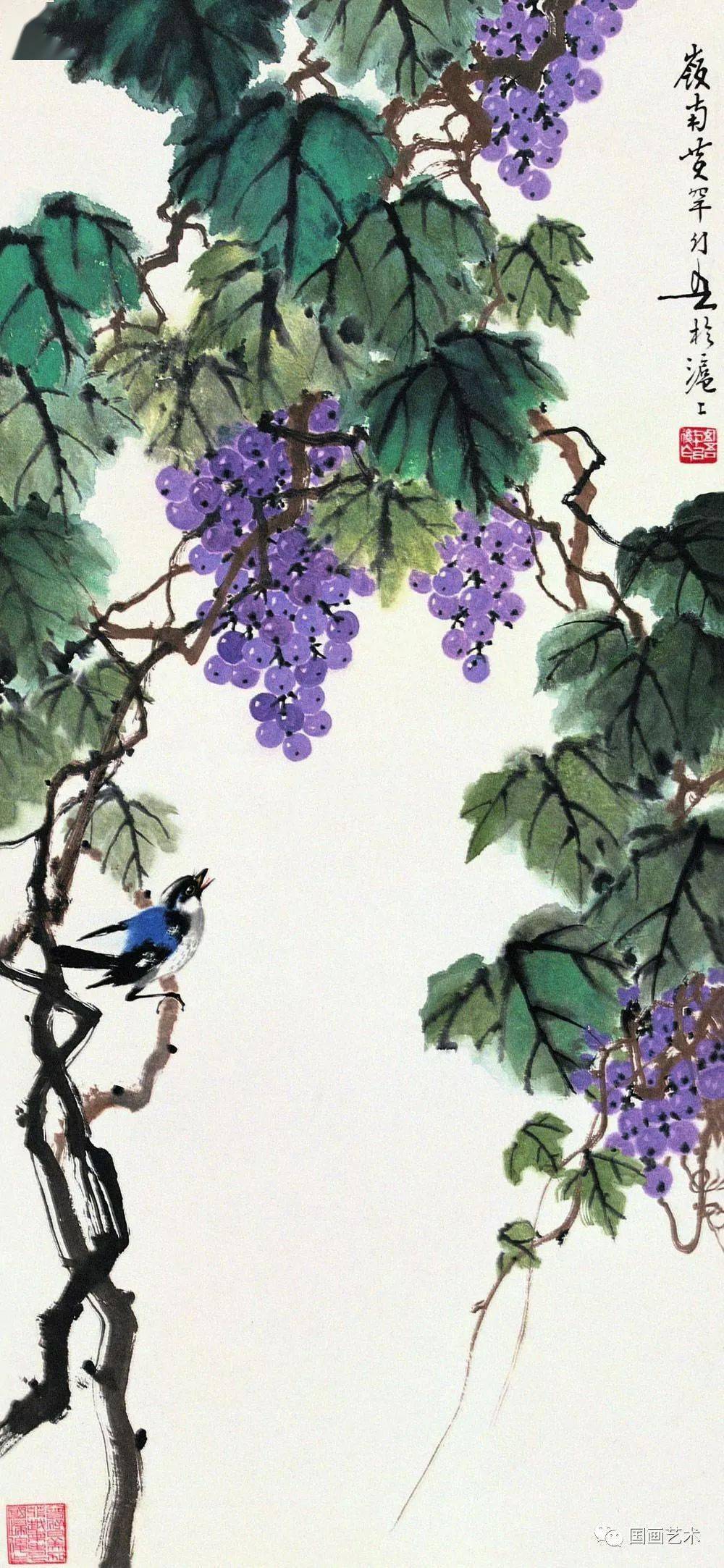 现当代名家黄幻吾笔下的葡萄小鸟