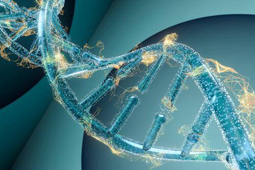 天书|从1%起步，中国基因测序研究跻身世界前列——“生命天书”破译20年
