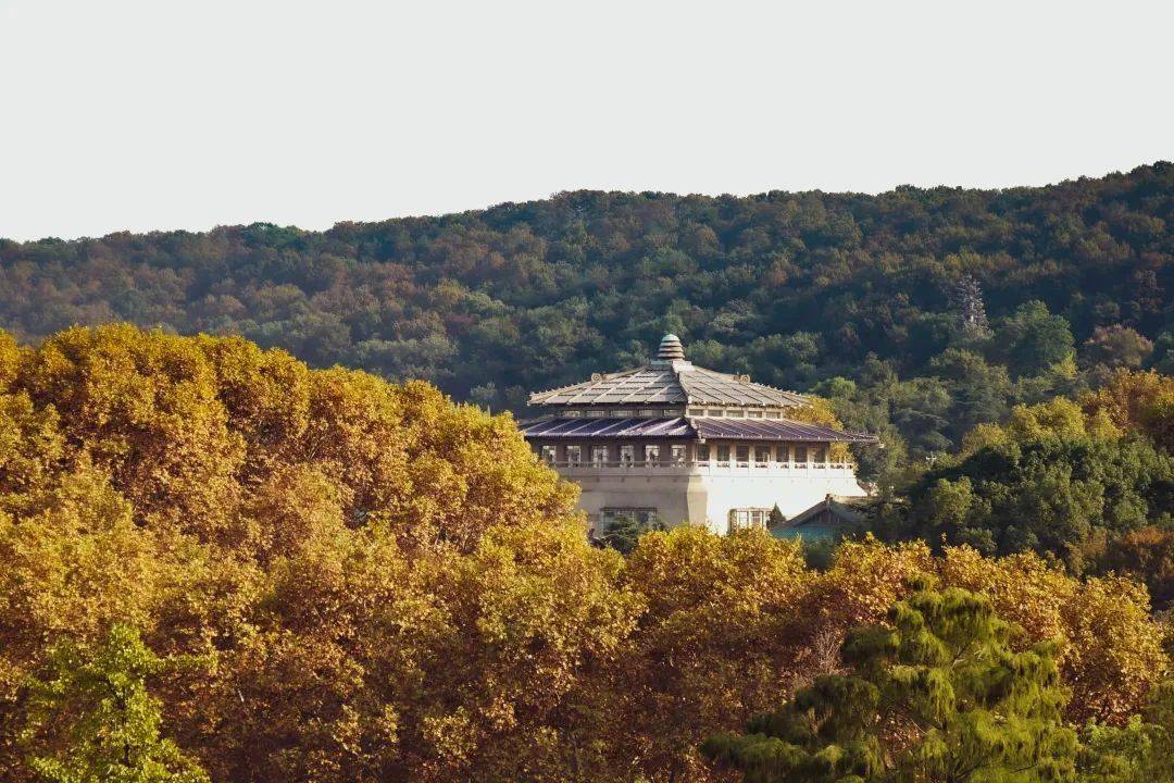 致珞珈山新主人们的福利预告_武大