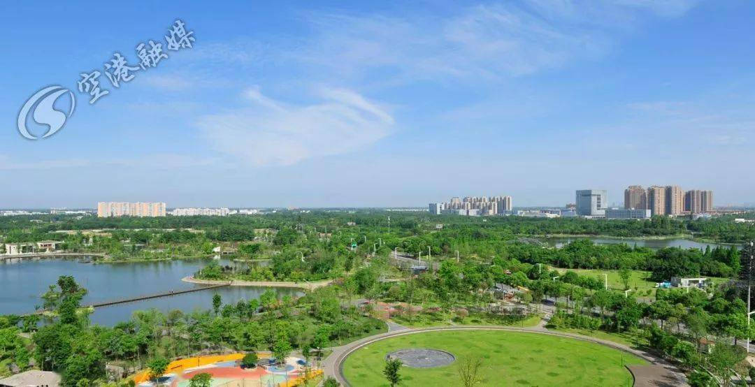 救命|溺水事件触目惊心！这些救命技能，每个家长都要掌握