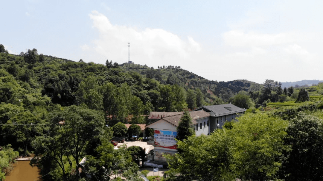 古冲村:把能人发展成党员 把党员培养成能人