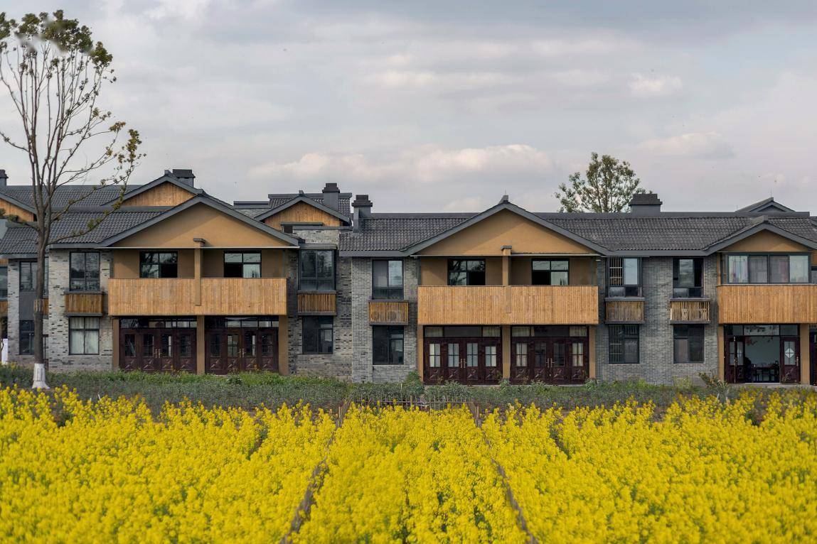 如何用设计推动全域乡村振兴盘点10大乡村建筑