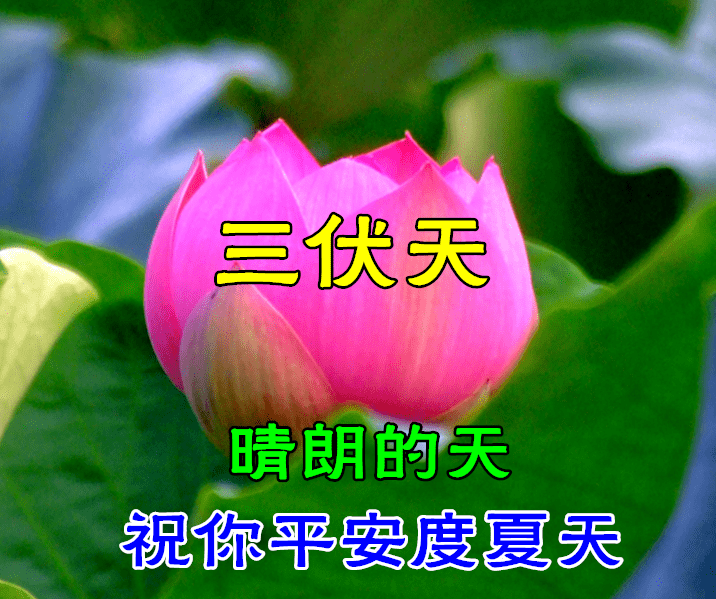 31794781aeea4559b1790db747444a7e.png