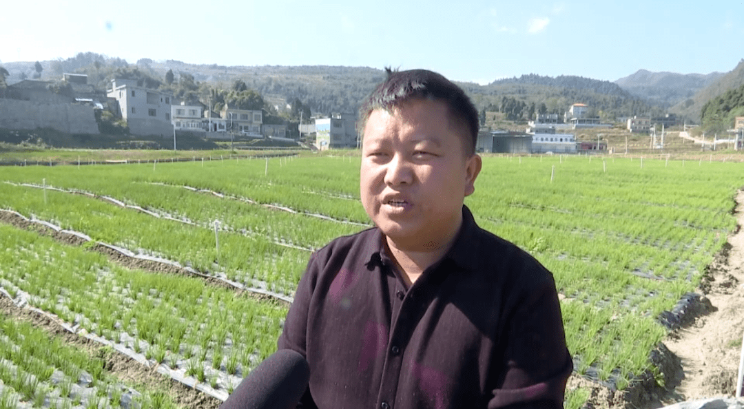 金沙县禹谟镇奋力谱写乡村振兴新篇章