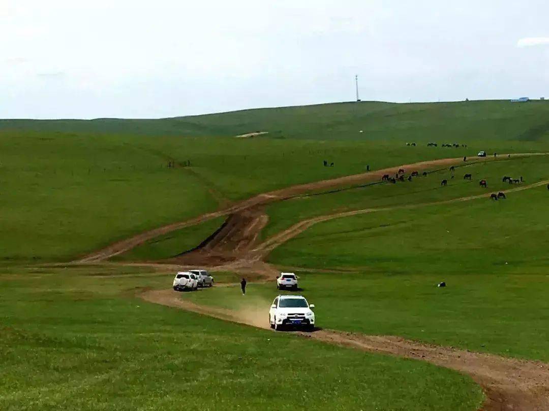 【暑期自组团】8月21日北戴河,承德,坝上草原双高六日游_乐享私