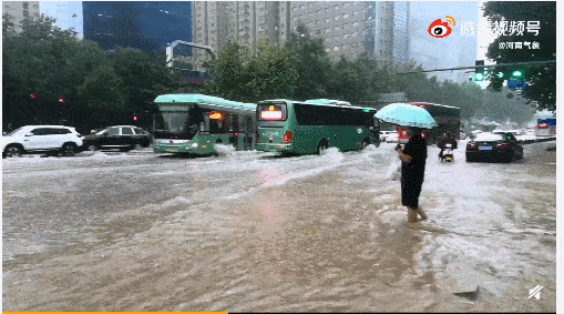 7月21日郑州特大暴雨最新消息  洪灾已造成郑州市区12人死亡