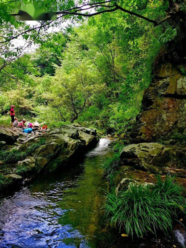 沅陵乡村小溪之恋 · 大坪溪