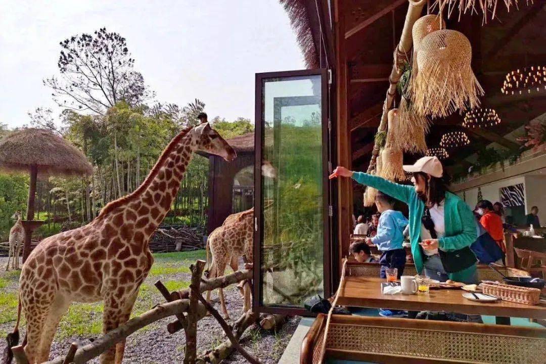 黄河三角洲动物园餐厅图片