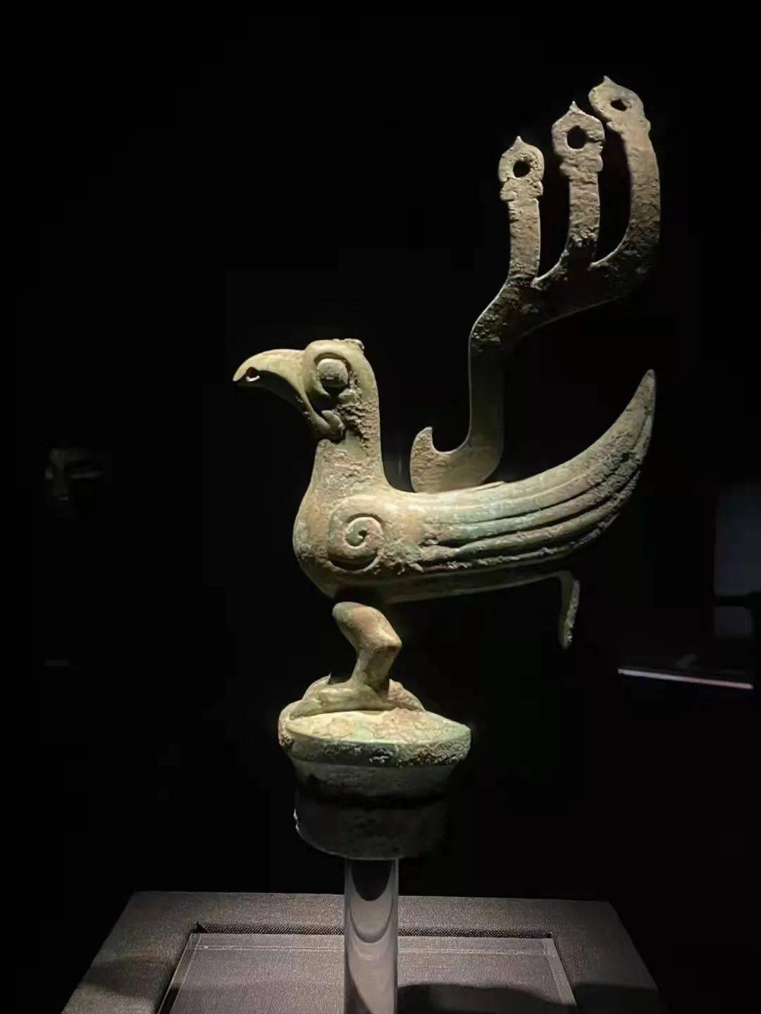 三星堆神鸟图片,很多,这只是其中之一接着,是这样一棵神树,有人说