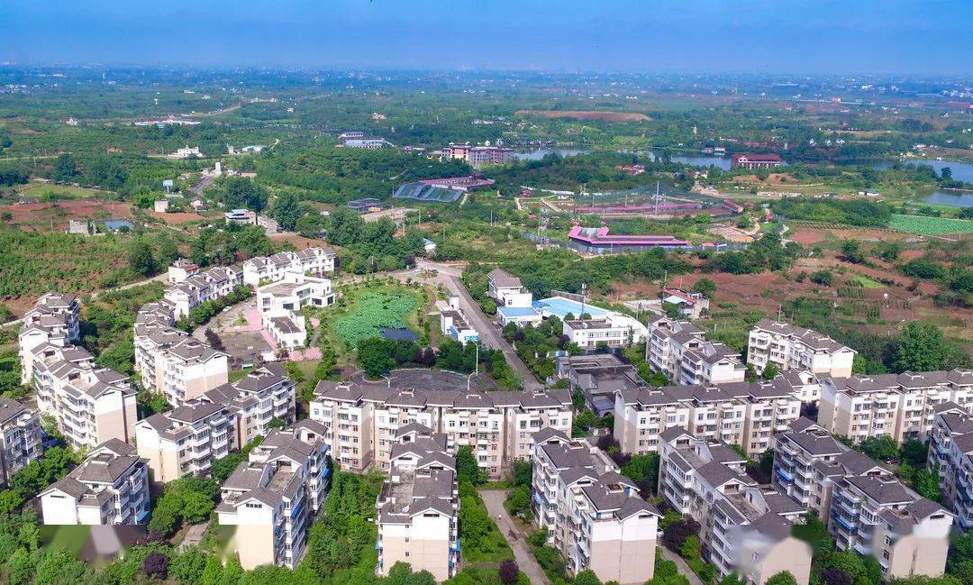 龙泉山下,美丽新福洪,谱写乡村振兴新篇章!_洪镇