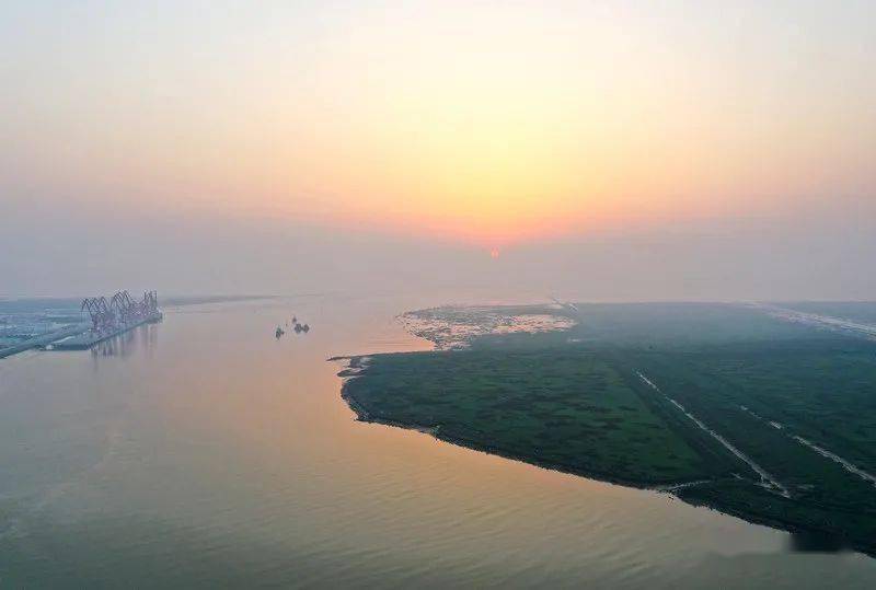 炎炎夏日，一抹清凉，来射阳河欣赏水乡风景