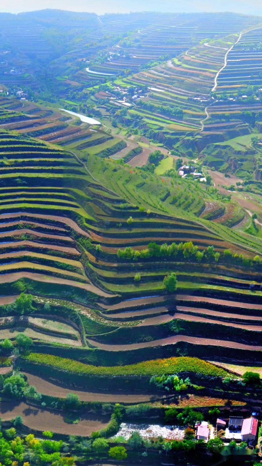 2021生态环保行(12)| 安定:黄土高原生态建设的典范