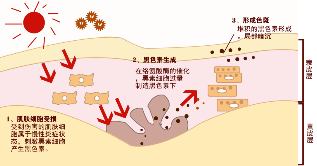 阿伏|揭秘 | 还有我不知道的防晒知识点？ 拿来吧你！