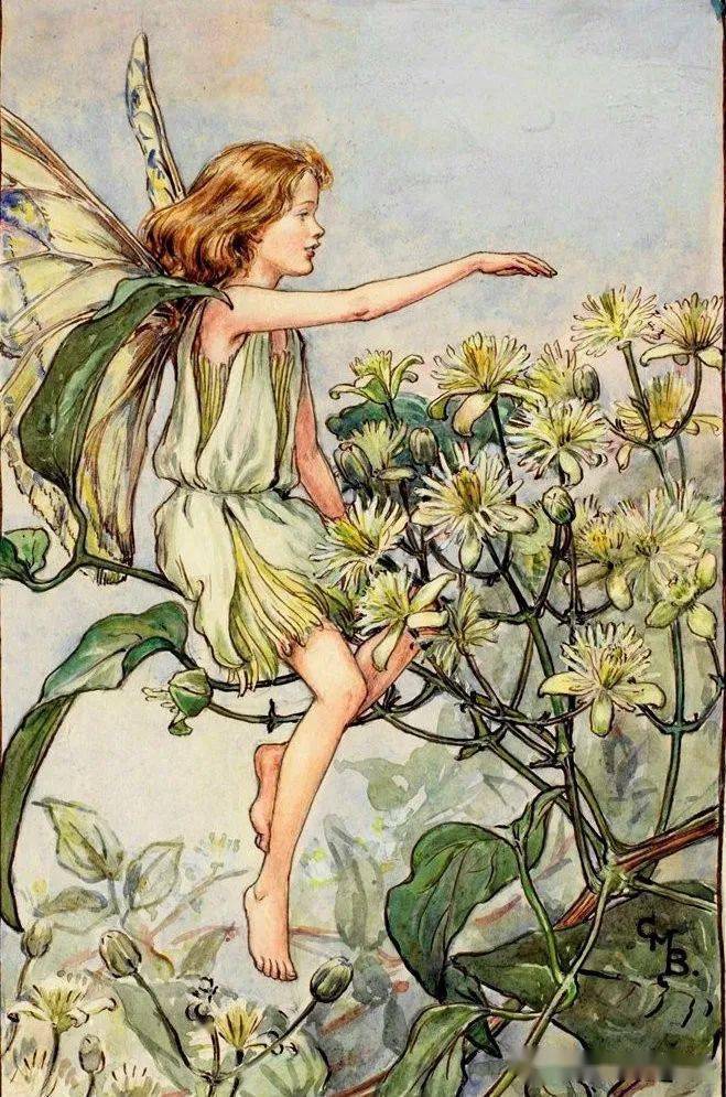 艺术家cicelymarybarker花间仙子