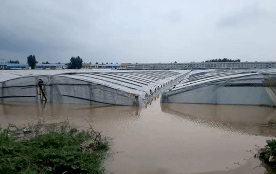 因雨勢過大,農田,溫室大棚,魚塘,養殖基地等均面臨排水不暢,長時間