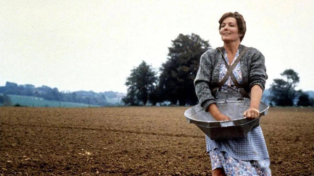 孙道临|北京8月电影季，即将炸裂开启！