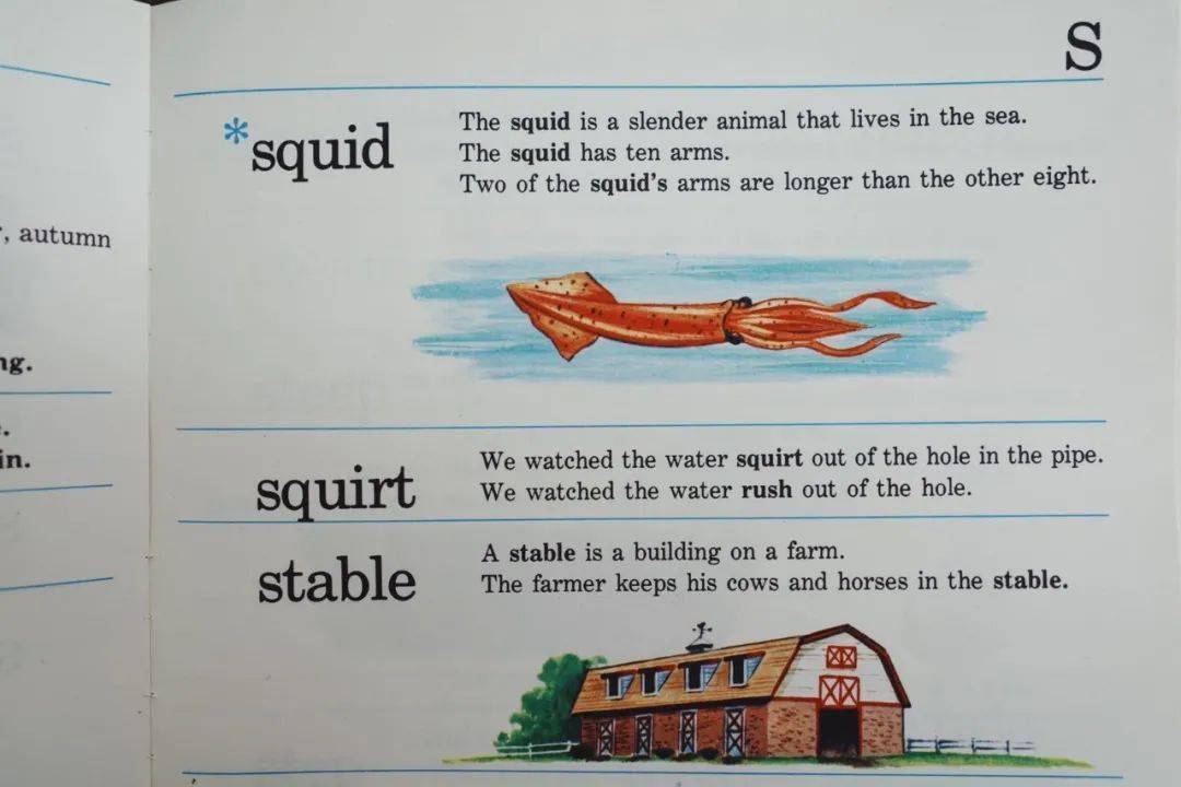 我一页页读完了这本适合5 9岁的儿童词典 英语