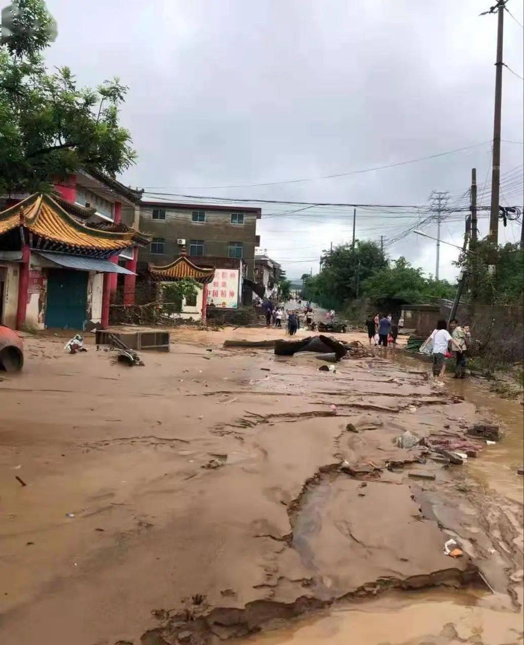 "孤岛"信息传递者:一路哭着回家,为村民拍视频报平安_北村