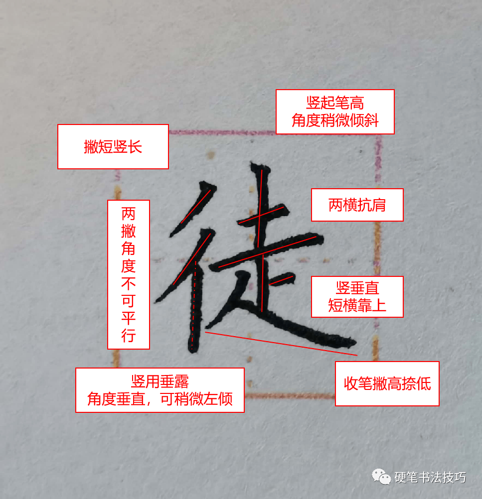 练字技法单人旁与双人旁应该如何写
