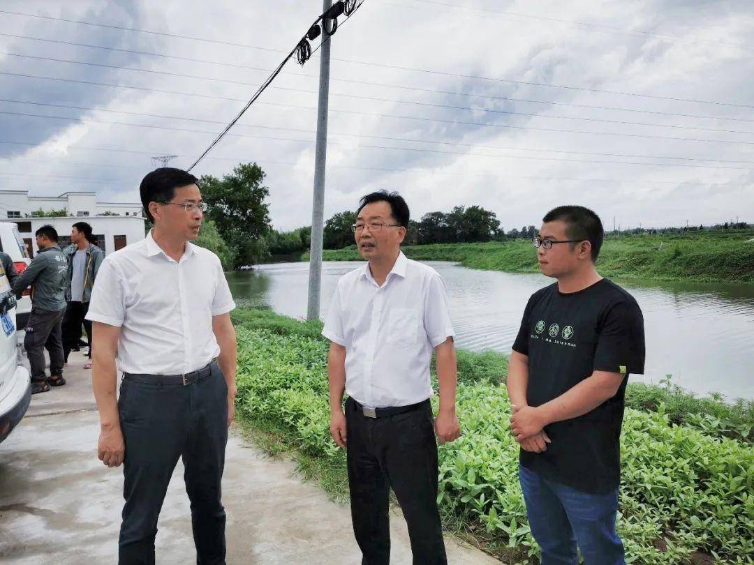 市农业农村局迅速反应全力做好防台减灾工作