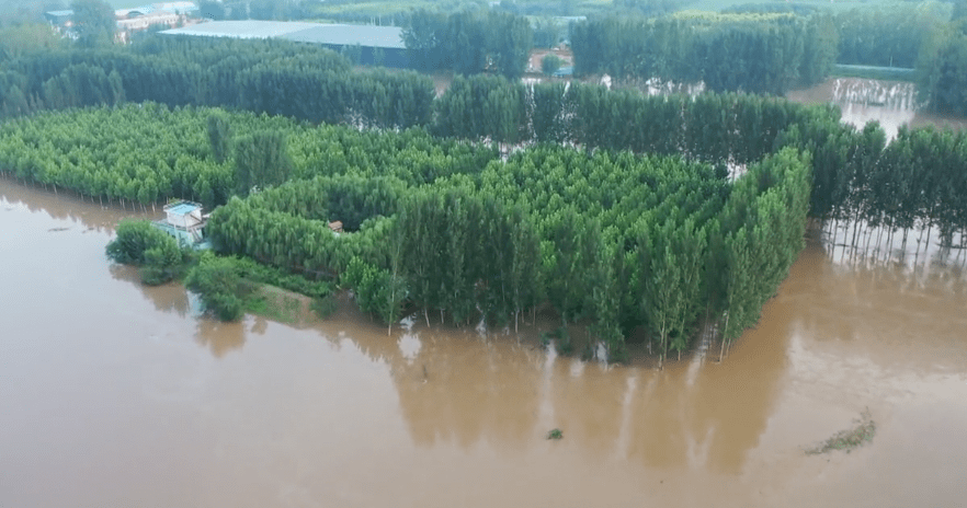 内黄:干群同心齐上阵 防洪护堤保家园