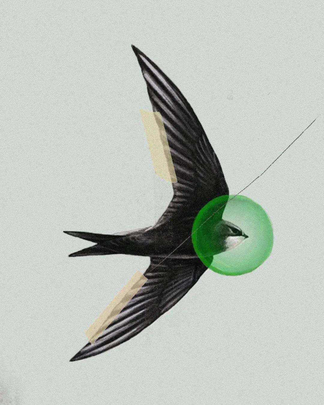 服装|灵感元素｜源自燕子的浪漫设计