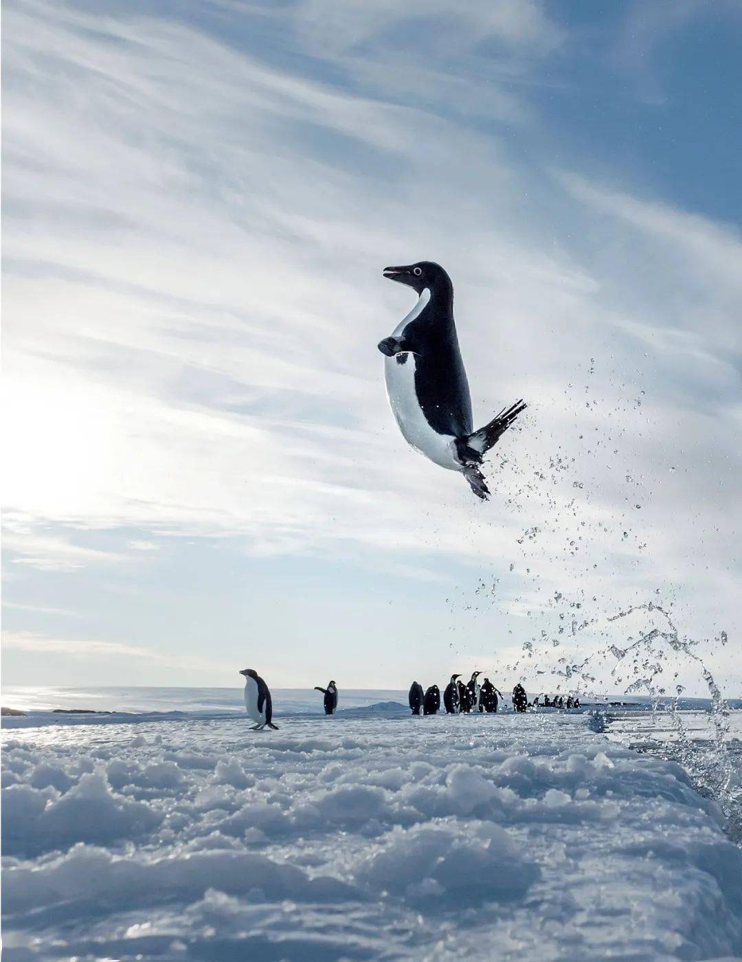 首发丨netflixbbc神作同名书170余幅超清大图见地球之美