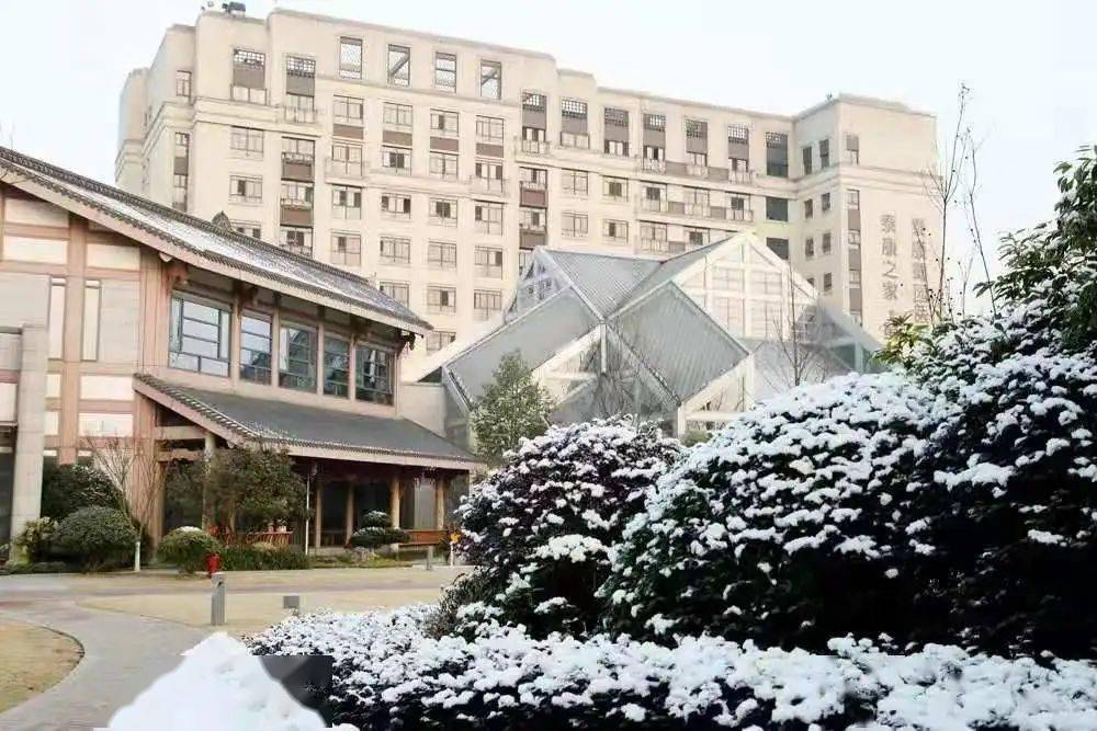 25周年丨泰康之家蜀园邂逅幸福的家