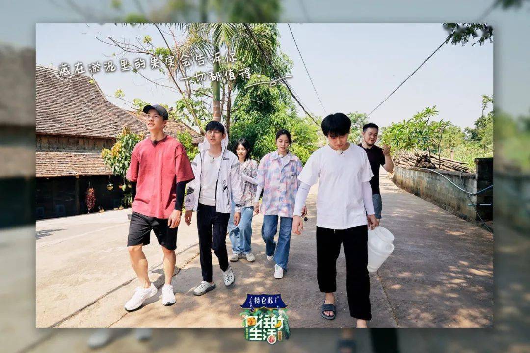 《向往的生活》第五季收官,留下了这些温暖治愈的文案