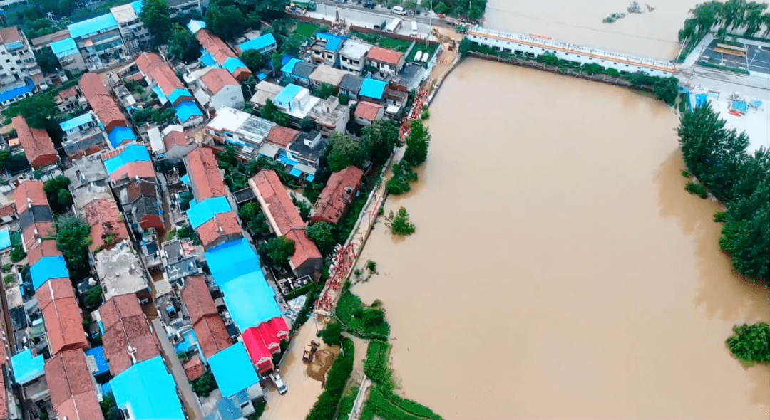 扶沟的洪水到底有多大我看哭了