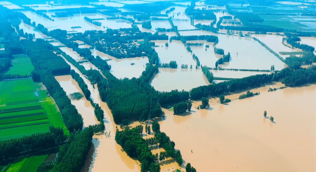 扶沟的洪水到底有多大我看哭了