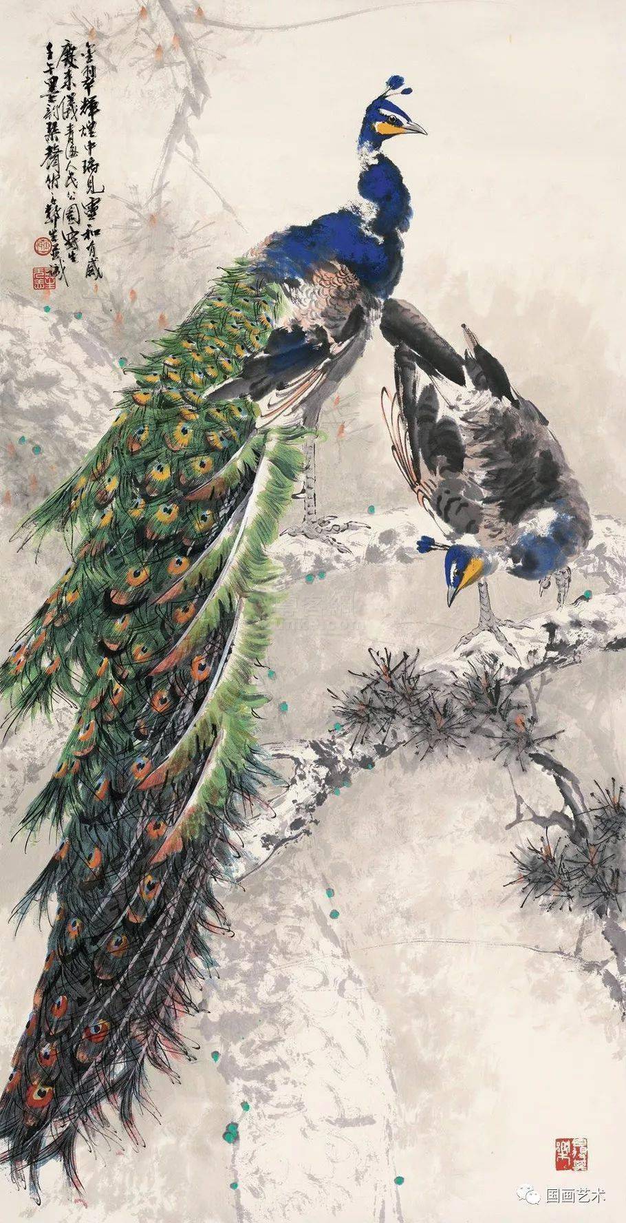 他画的孔雀太美啦!