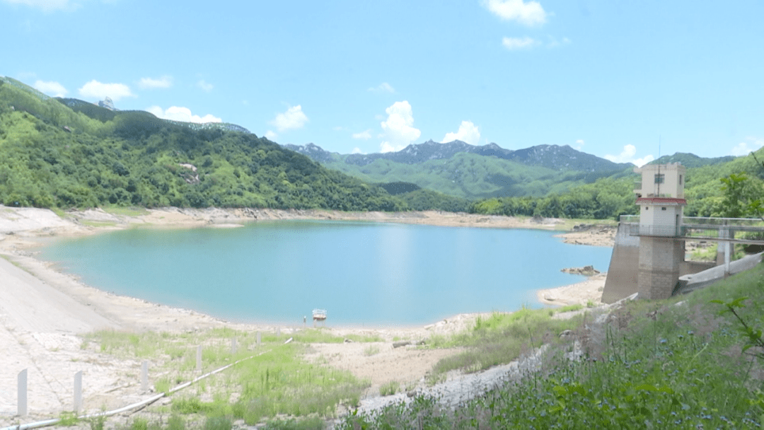 惊喜漳浦鹿溪河滩发现国家二级保护野生动物