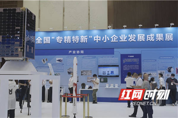 最好养的观赏鱼排行榜_发财致富赚钱技能之为大家推荐几种好养的热带鱼