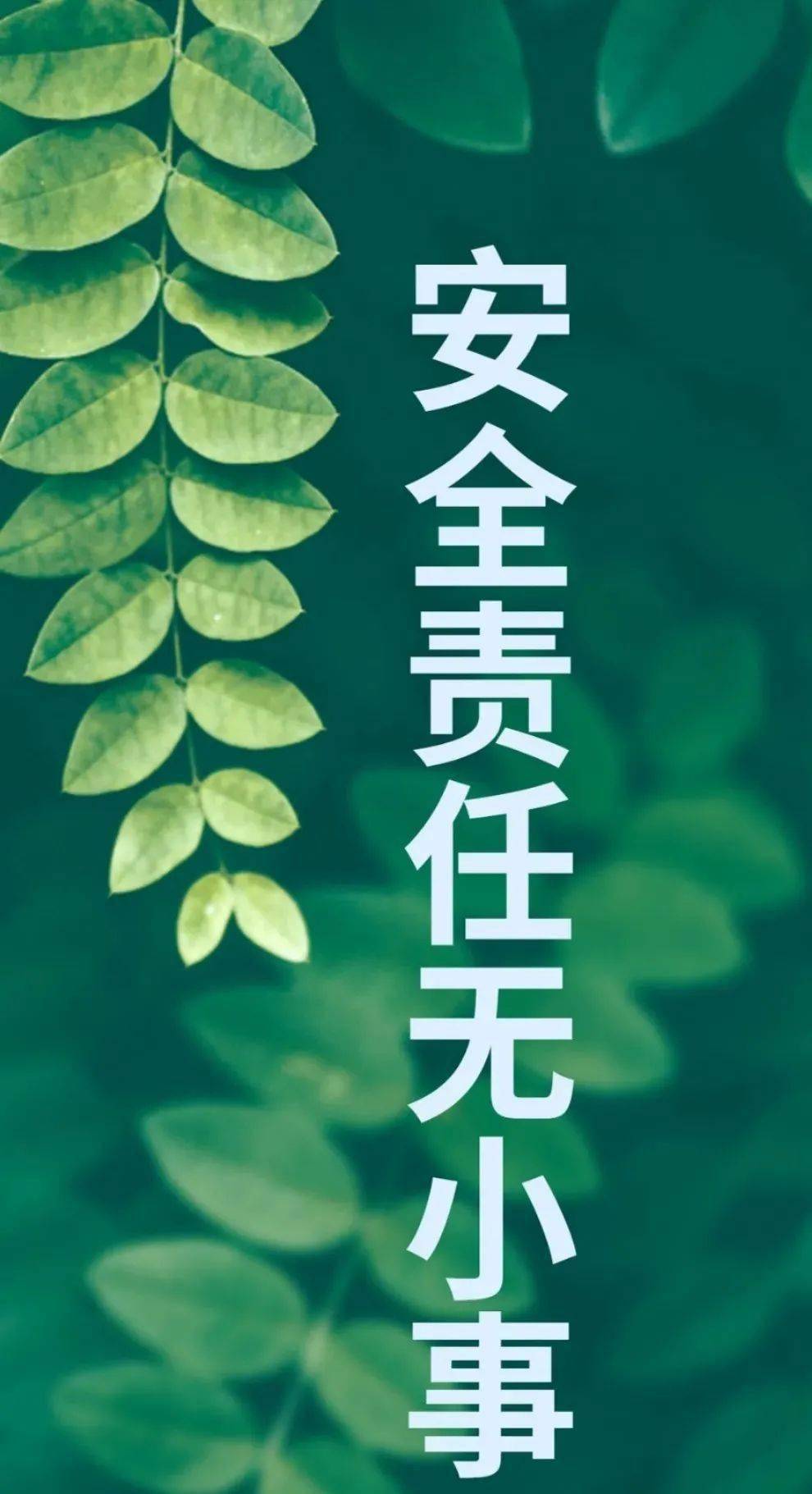 请党放心强国有我当变电遇上青安岗