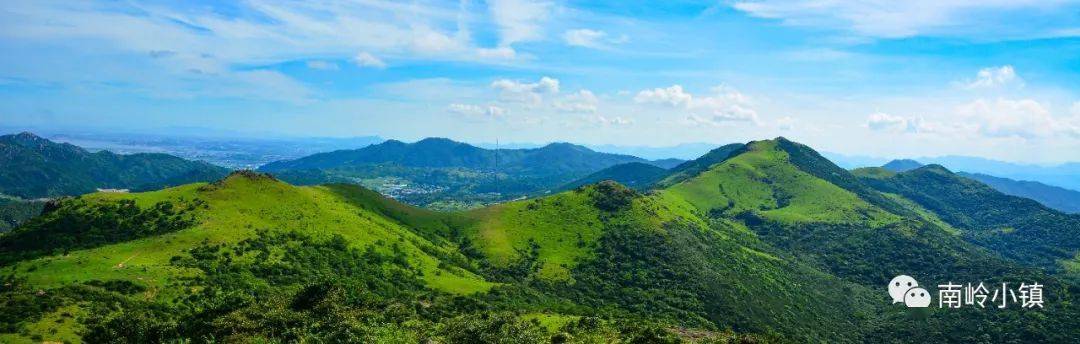 春山如笑 以梦为马——南岭镇大山村