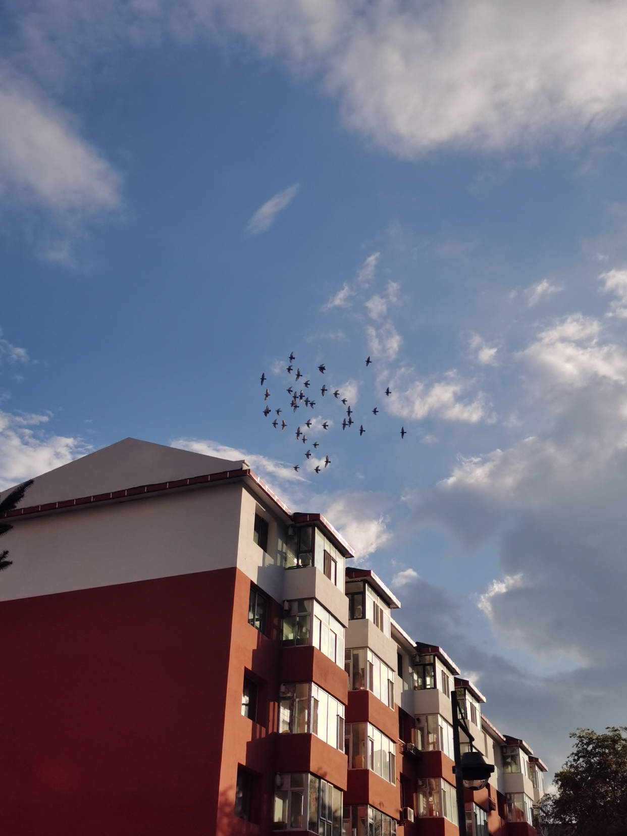 道路|阳光中谁寄锦书来