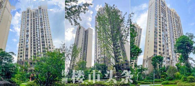 啥是开发商 2b156935326f40eeac37b46cdc88aefe.jpeg