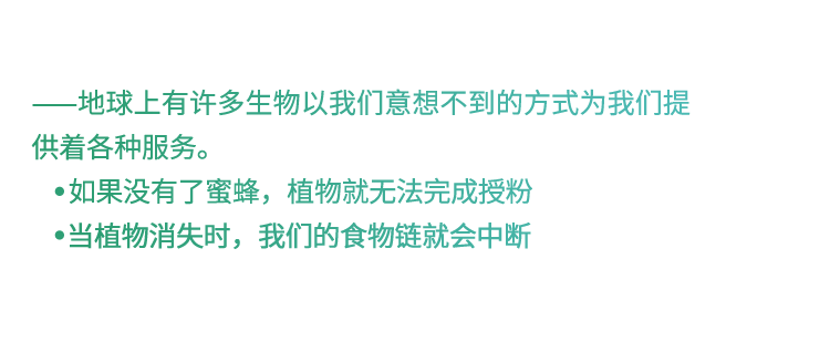 欧莱雅,欧莱雅|今天,物不以稀为贵,物以多为贵。