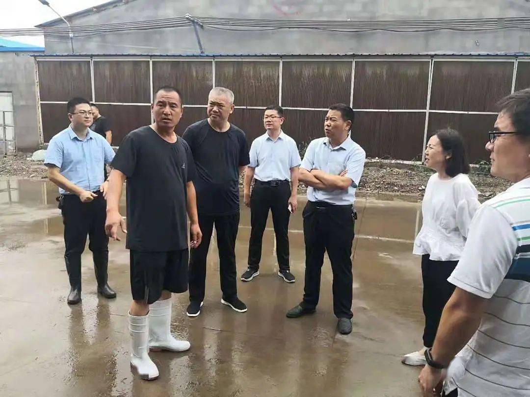 临沂市生态环境局督导我县汛期水环境安全_沂南县