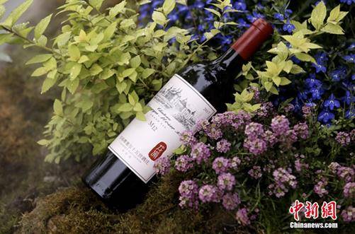 张裕摩|德国酒评家给张裕龙谕M12打出95分