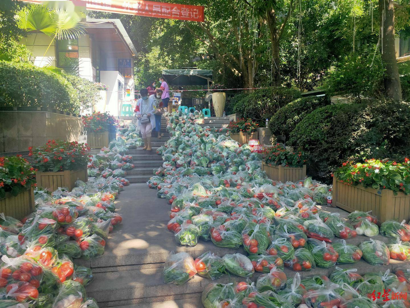 时辰|社区工作人员的“十二时辰”:挨家敲门，一天扫楼4次