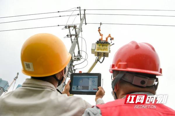 人员|“机械小黄人”浏阳河畔首秀 带电作业提质增效