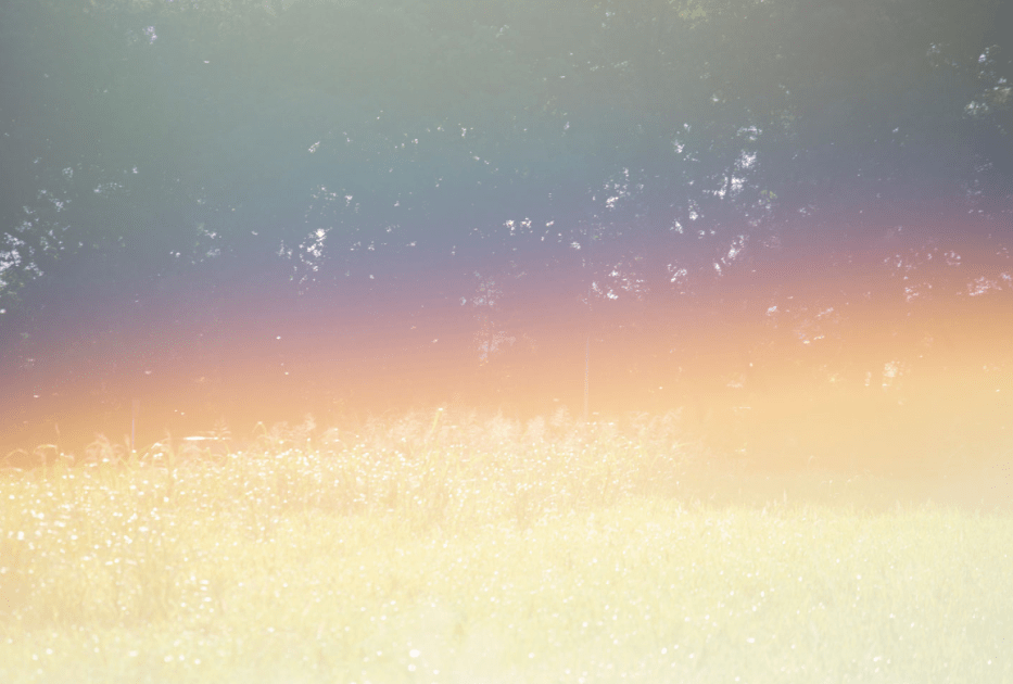 成绩不好 沉迷游戏 退学的 差生 如何自学6年 考上一流大学 帆帆