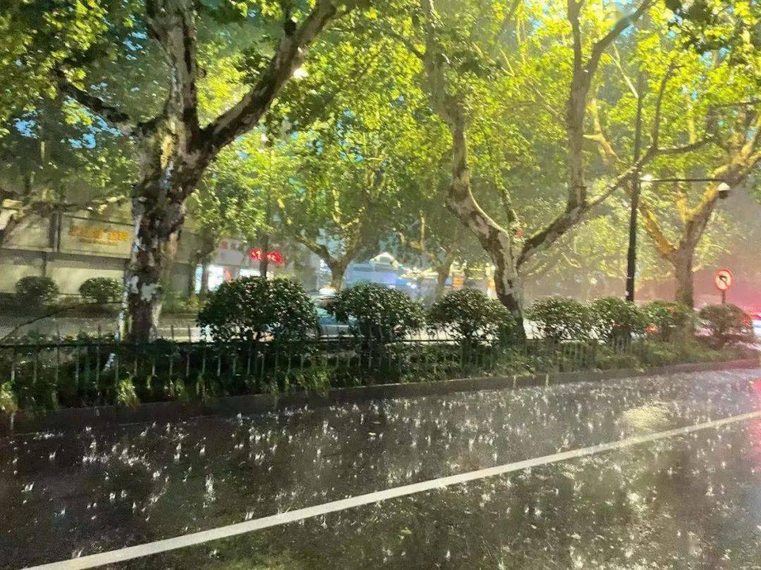 比"烟花"下得还大的杭州暴雨上热搜,多地积水已深至膝盖!
