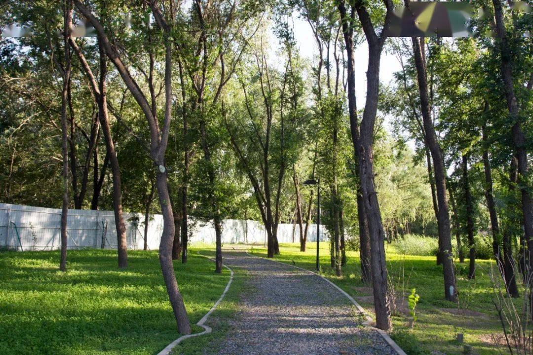 夏日,来这座森林公园——功德寺公园寻一片清凉!