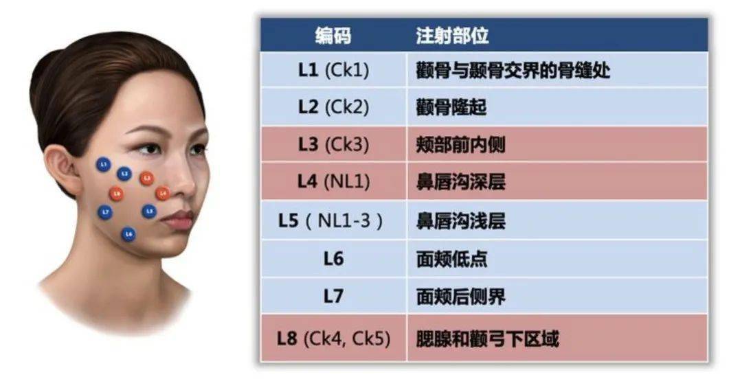 花姐说乔雅登mdcodes八点提升并不一定适合亚洲人