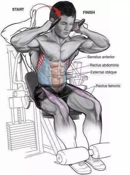 超详细腹肌锻炼图解花钱都买不到拿好不谢