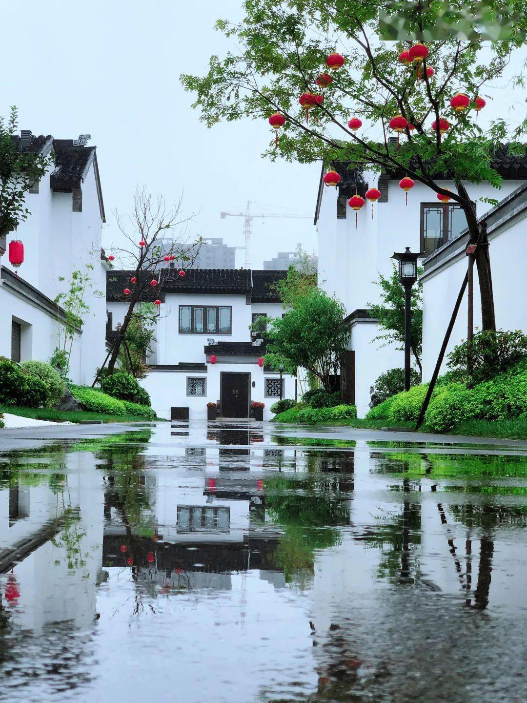 一场大雨过后,宁阳这里的美景堪称惊艳!周末约起来吧!